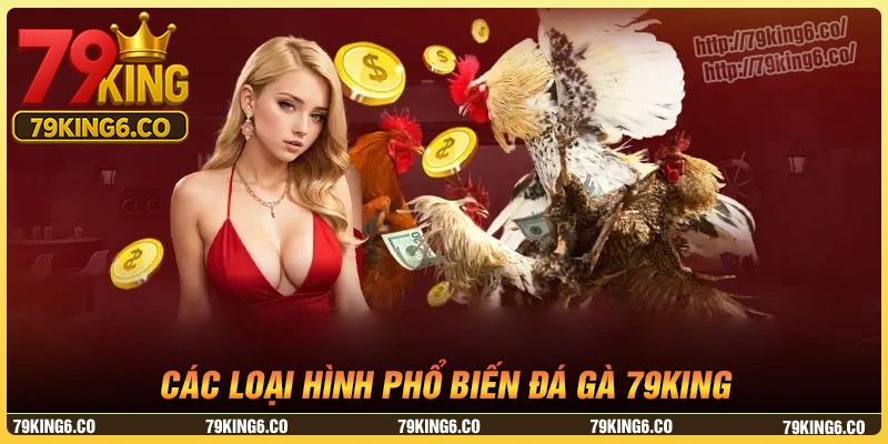 Những loại hình đá gà 79king nổi bật hiện nay